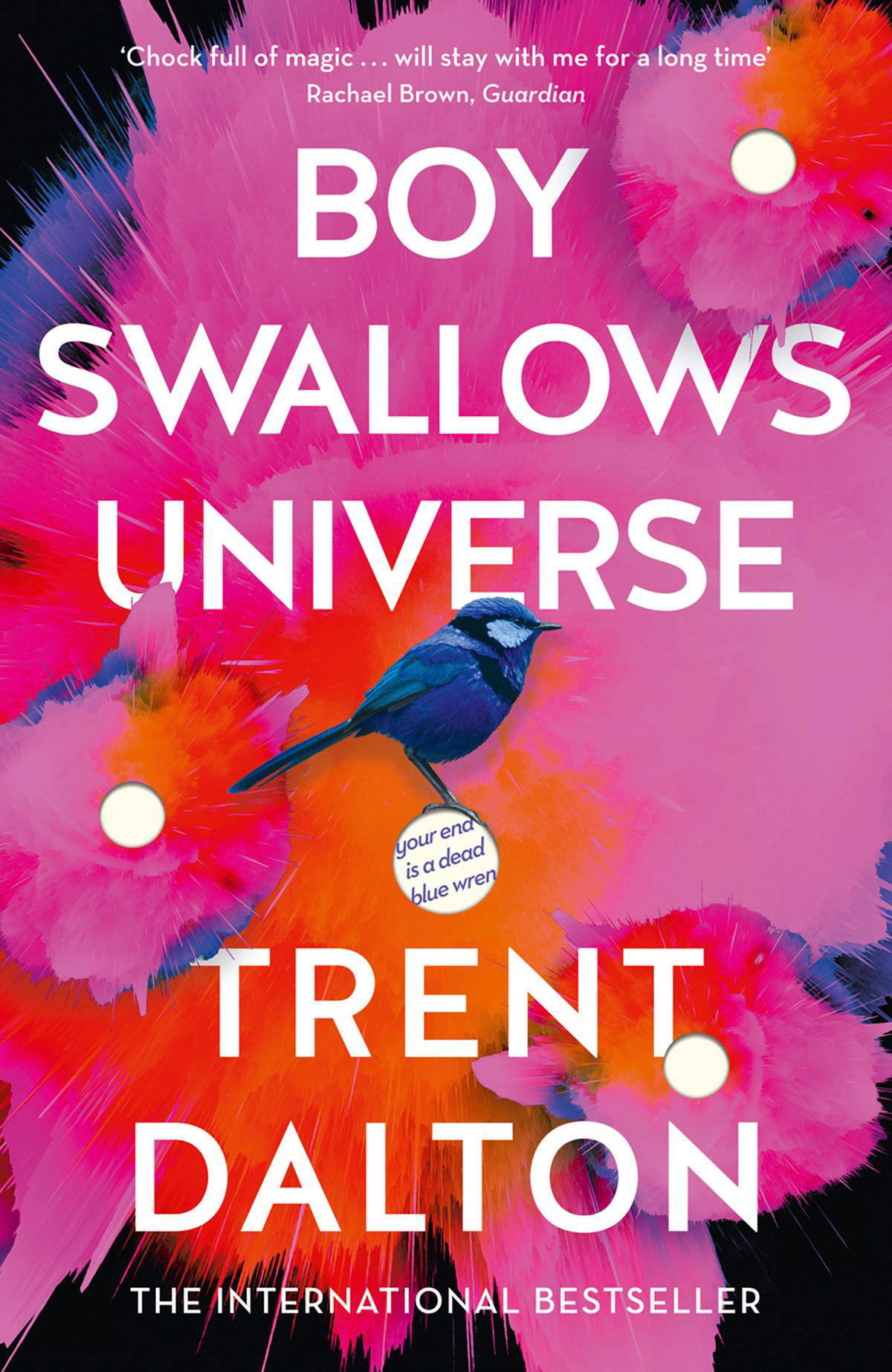 Boy Swallows Universe book cover