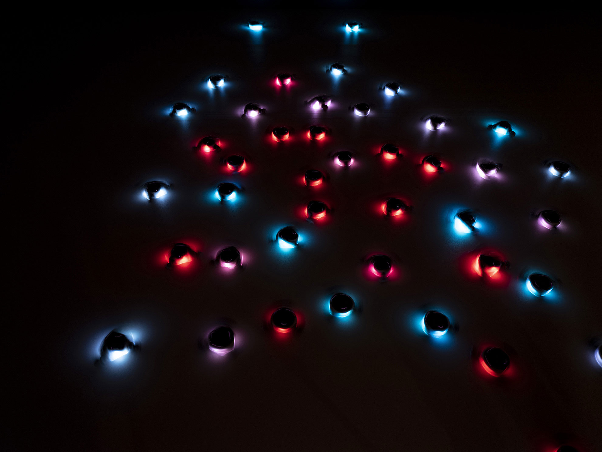 Installation view of 'Empathy swarm' (17 August - 27 October), QUT Art Museum, 2019. Image copyright Carl Warner.