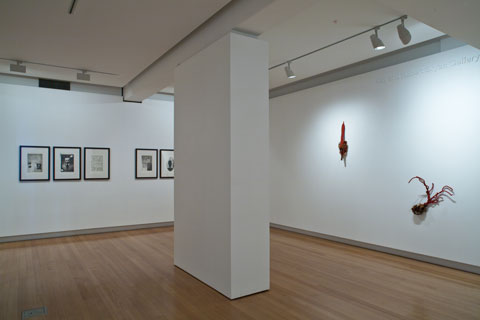 Installation view of 'Beata Batorowicz: Tales within historical spaces' | Photo: Richard Stringer