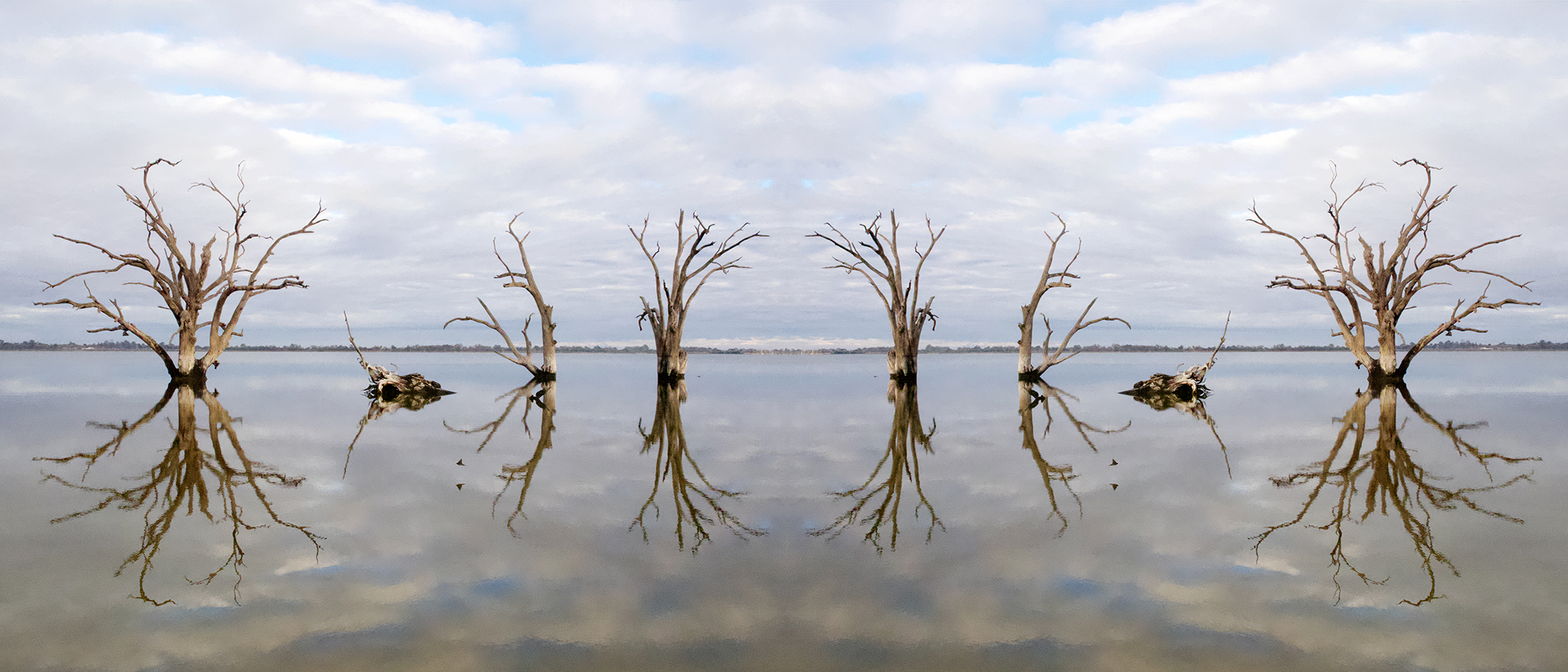 Artwork of Murray Darling lake with trees with no leaves
