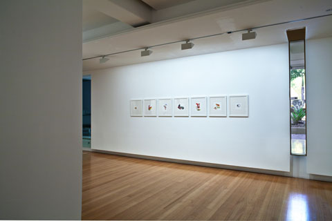 Installation view of 'Beata Batorowicz: Tales within historical spaces' | Photo: Richard Stringer