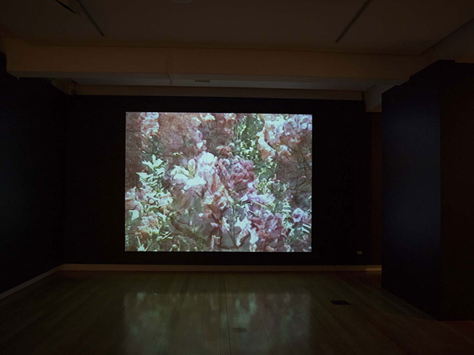 Installation view of 'Garden' | Photo: Carl Warner