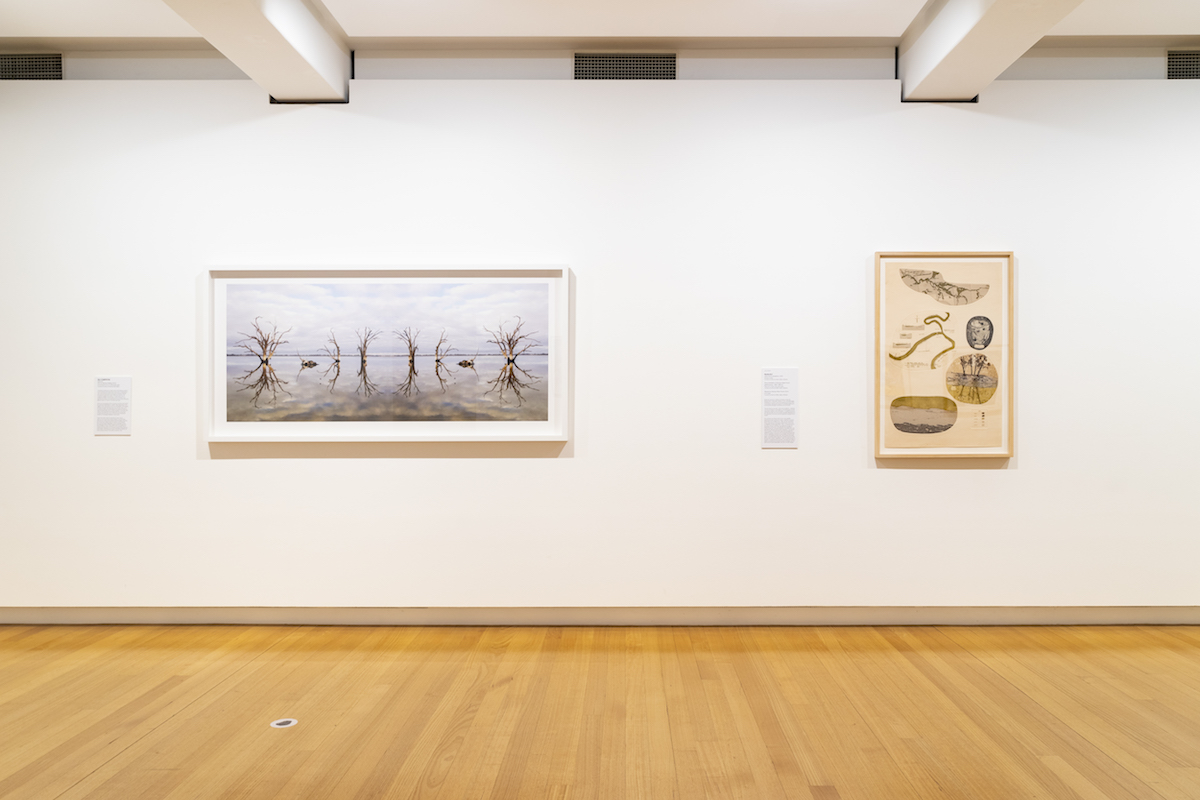 Click to open image  - Installation view of \'On Earth\' (27 March - 6 June 2021), QUT Art Museum. Photo by Louis Lim