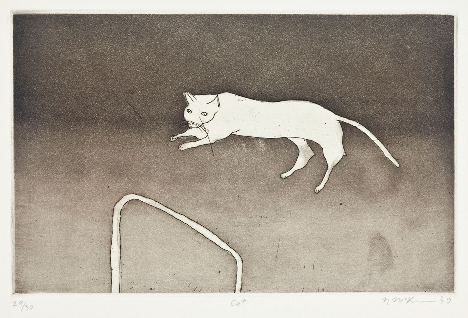 Noel McKENNA 'Cat' 2010, etching. QUT Art Collection. Donated through the Australian Government's Cultural Gifts Program by Margaret McKenna, 2013.