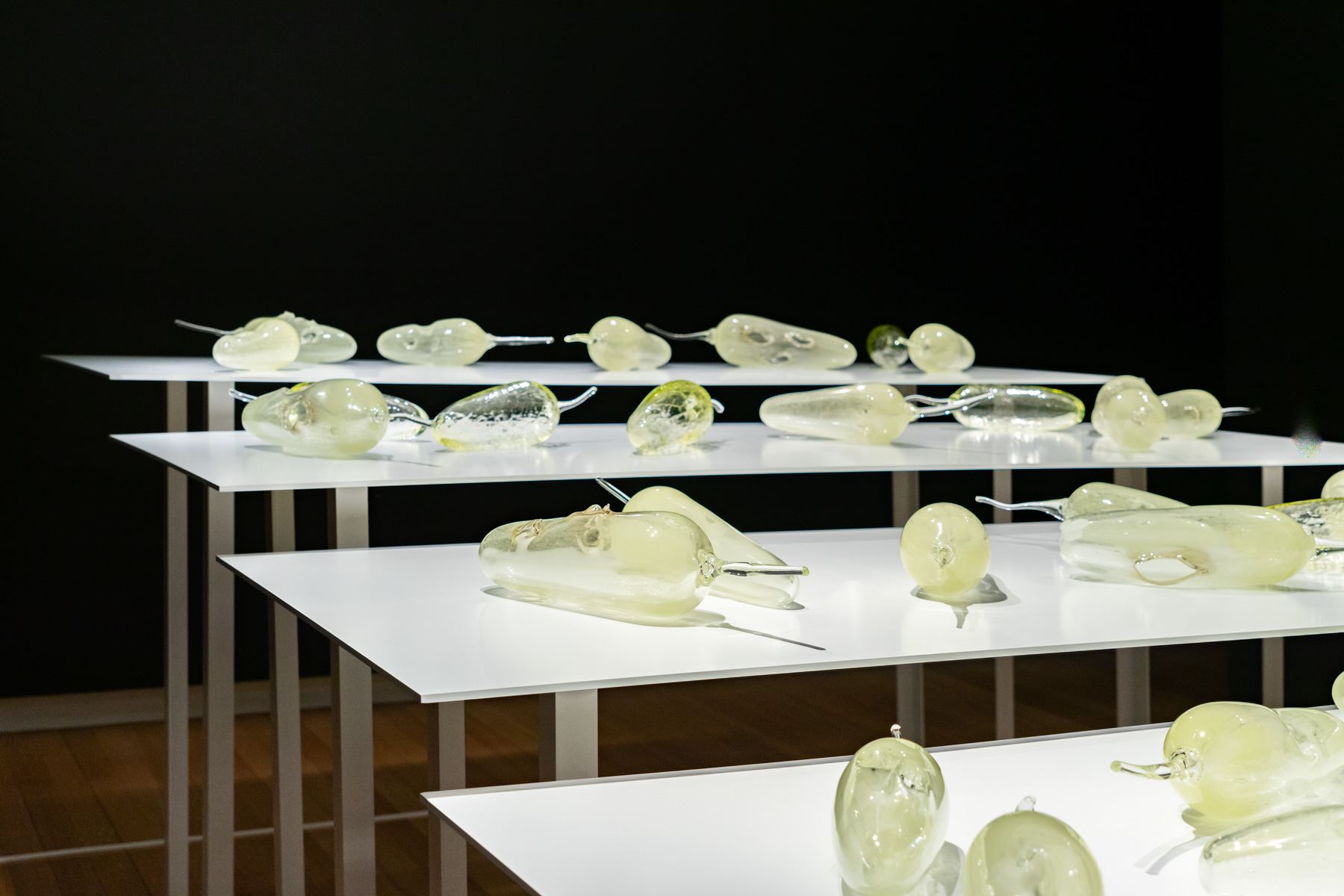Yhonnie SCARCE Hollowing Earth (installation view) 2016-17, blown and hot formed Uranium glass dimensions variable. Collection of the artist. Courtesy of the artist and THIS IS NO FANTASY, Melbourne. Photo by Louis Lim. 
