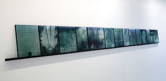 Janet LAURENCE 'Botanical residues (After the Great Glasshouse)' 2005 | fourteen duraclear photographs and synthetic polymer paint mounted on Perspex | QUT Art Museum | Purchased 2006