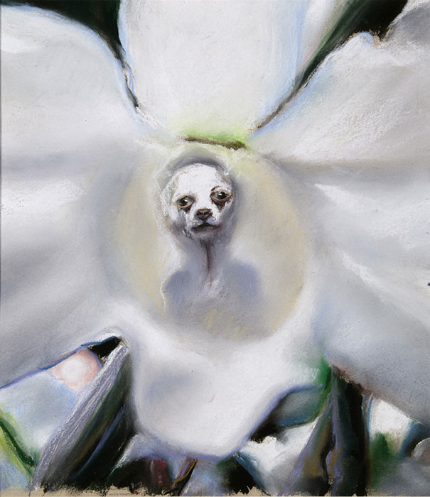 Painting of white flower with dog’s face in the middle of the flower