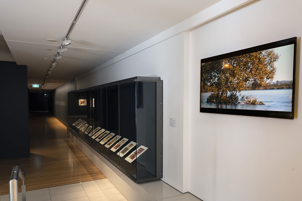 Click to open image  - Installation view of \'Rite of Passage\', pictured work by Judy Watson, QUT Art Museum, 2019. Photo by Carl Warner.