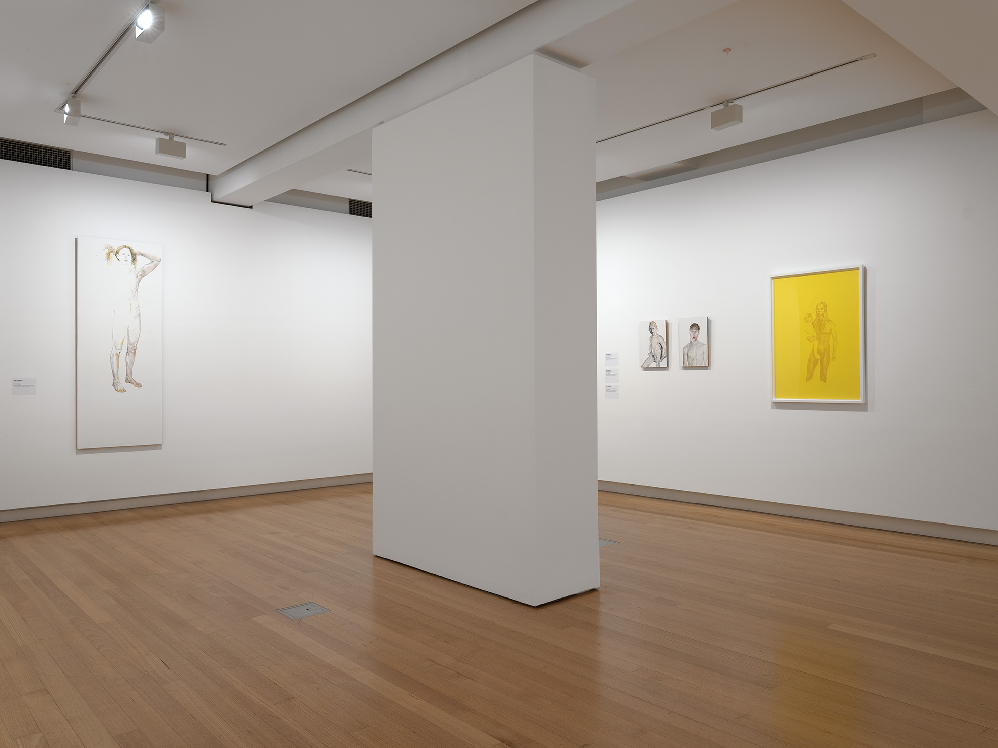 Installation view of 'Odd Bedfellows' (29 August - 8 November 2020), QUT Art Museum. Photo by Carl Warner.