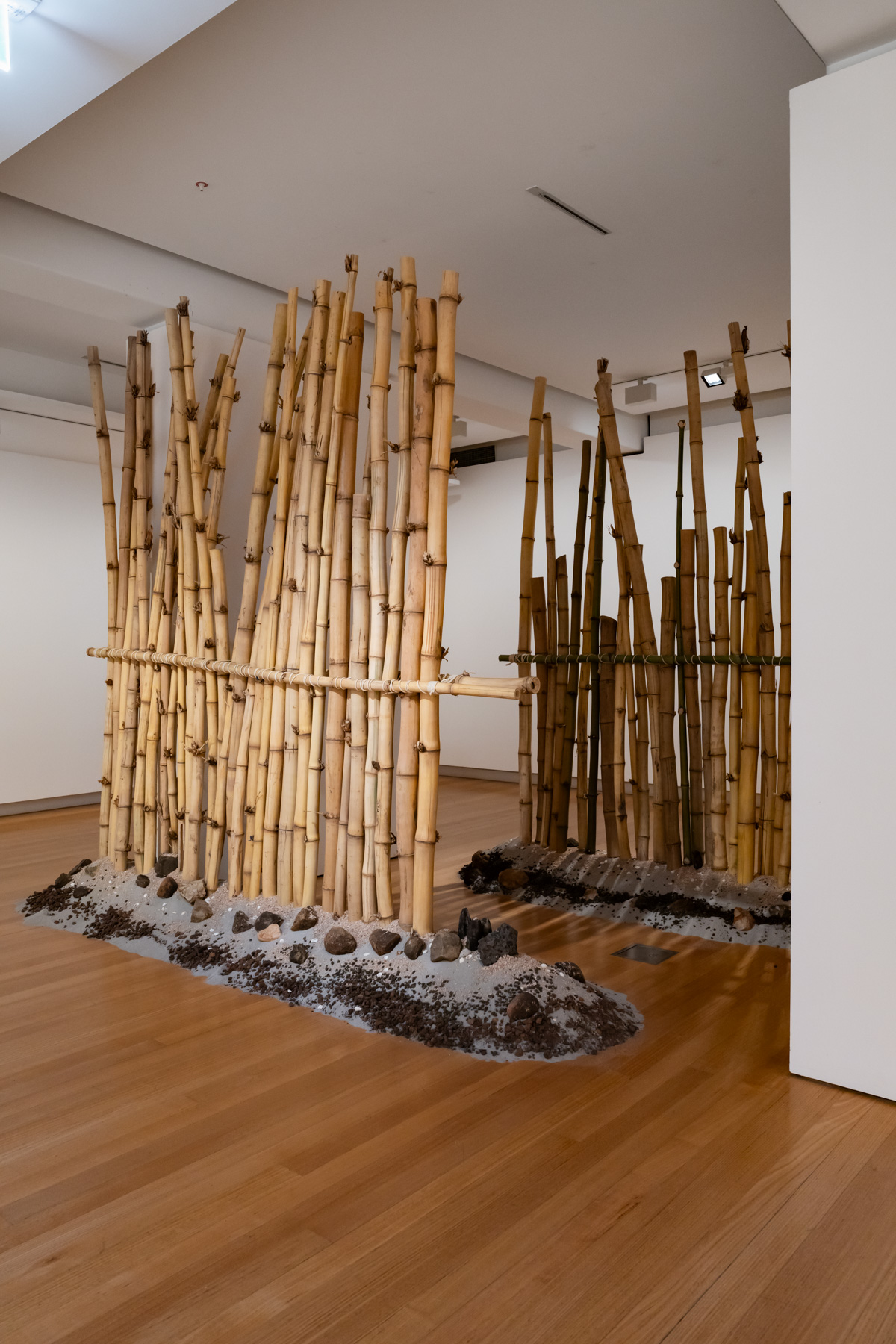 Two rows of bamboo, propped vertically in long piles of sand within a gallery.
