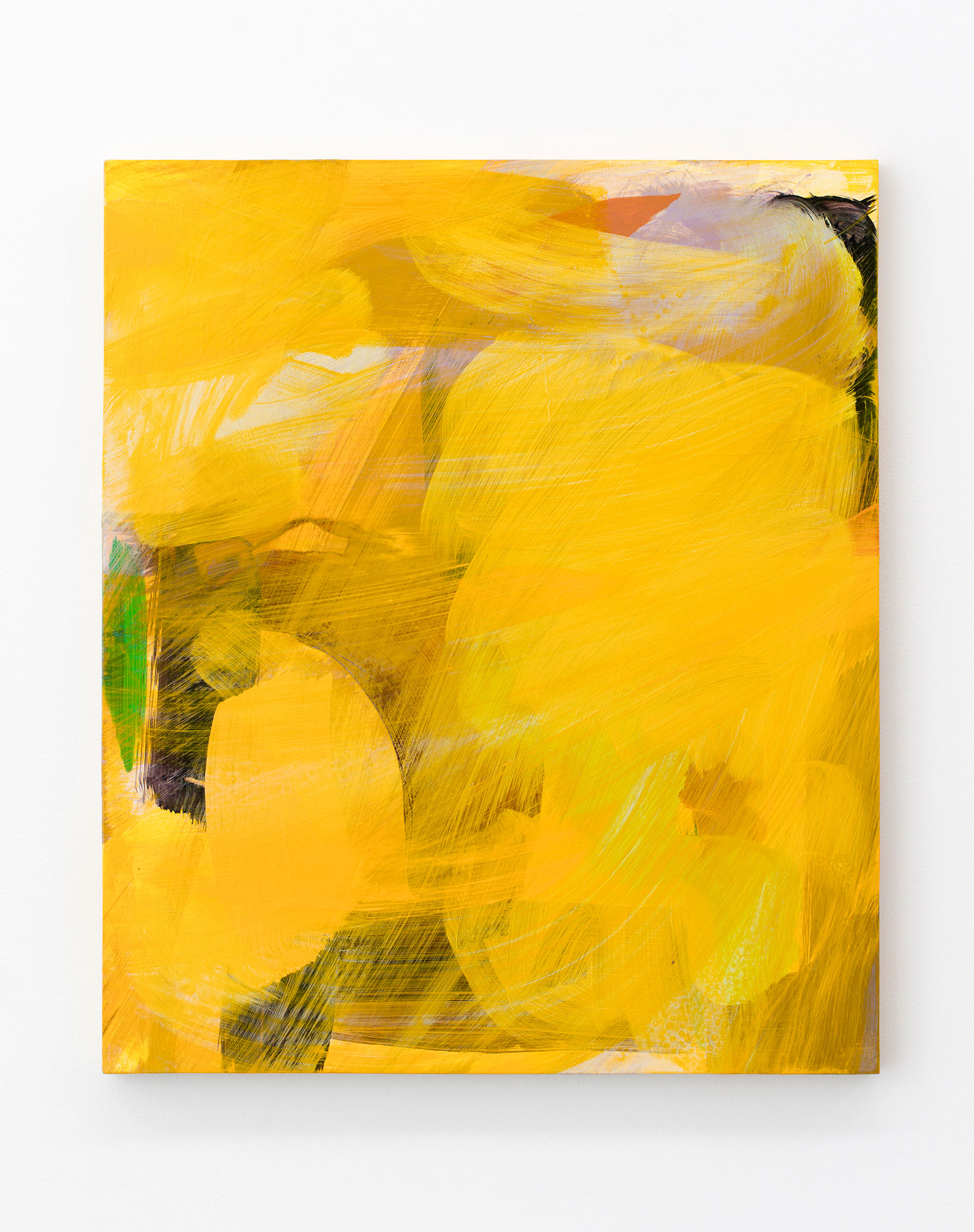 Gemma SMITH 'Goldens' 2018, synethic polymer and oil on board, Collection: Kate Mills, Sydney