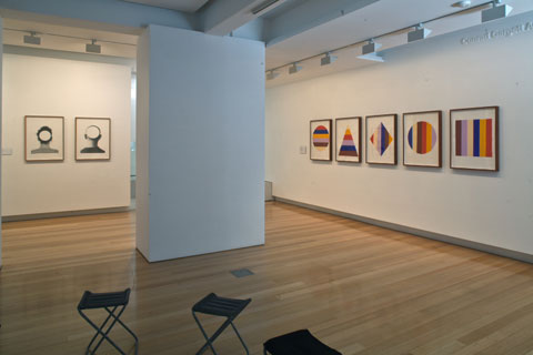 Installation view of 'Primavera' 2011 | Photo: Richard Stringer