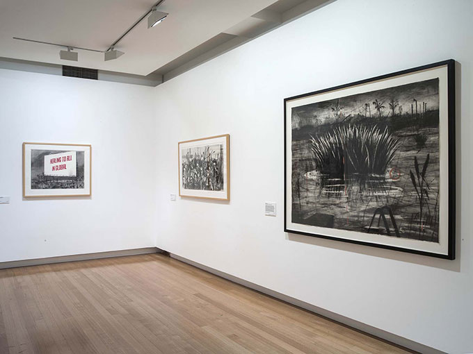 Installation view of 'William Kentridge: Drawn From Africa' | Photo: Carl Warner