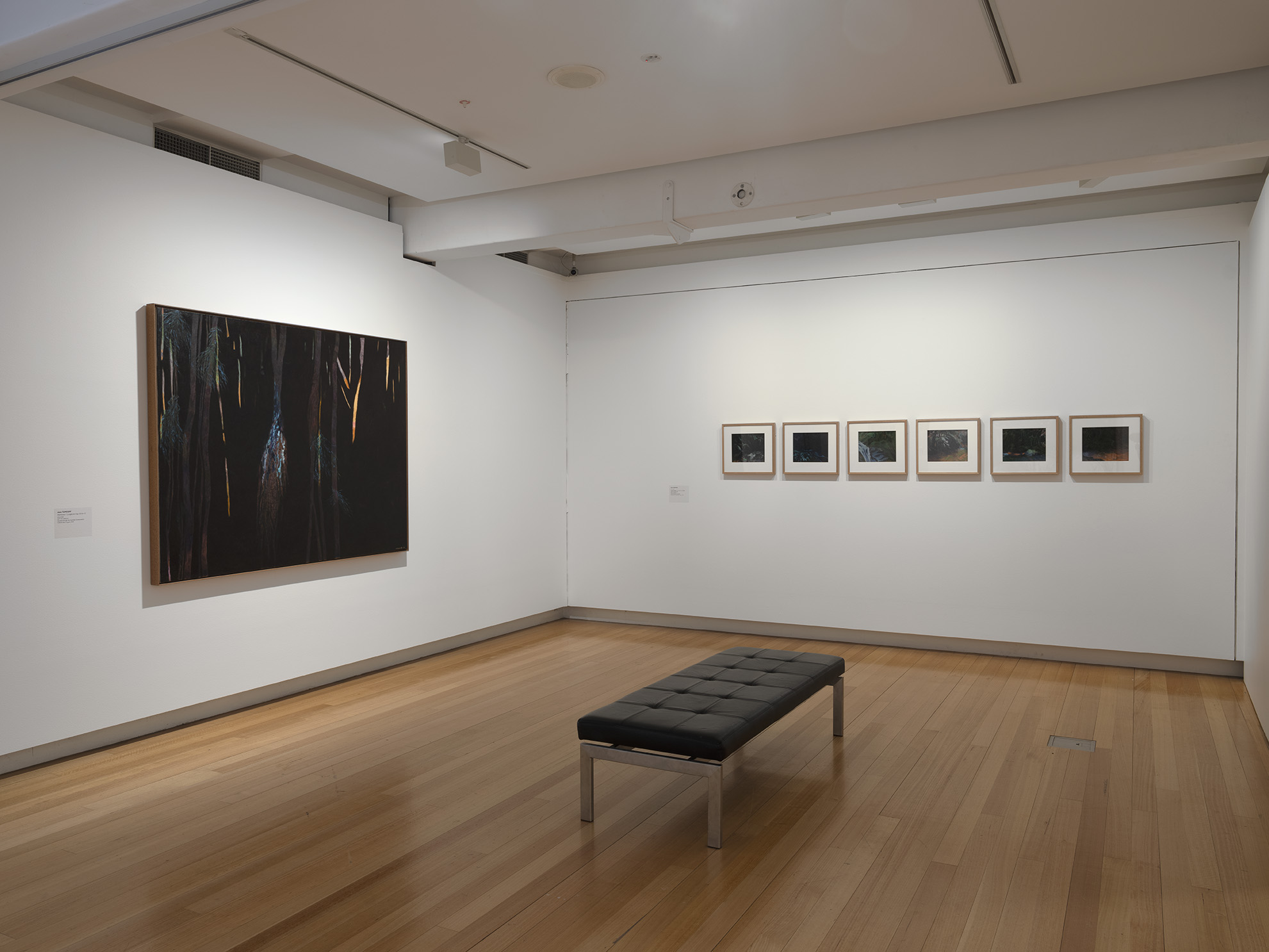 Installation view of 'Odd Bedfellows' (29 August - 8 November 2020), QUT Art Museum. Photo by Carl Warner.