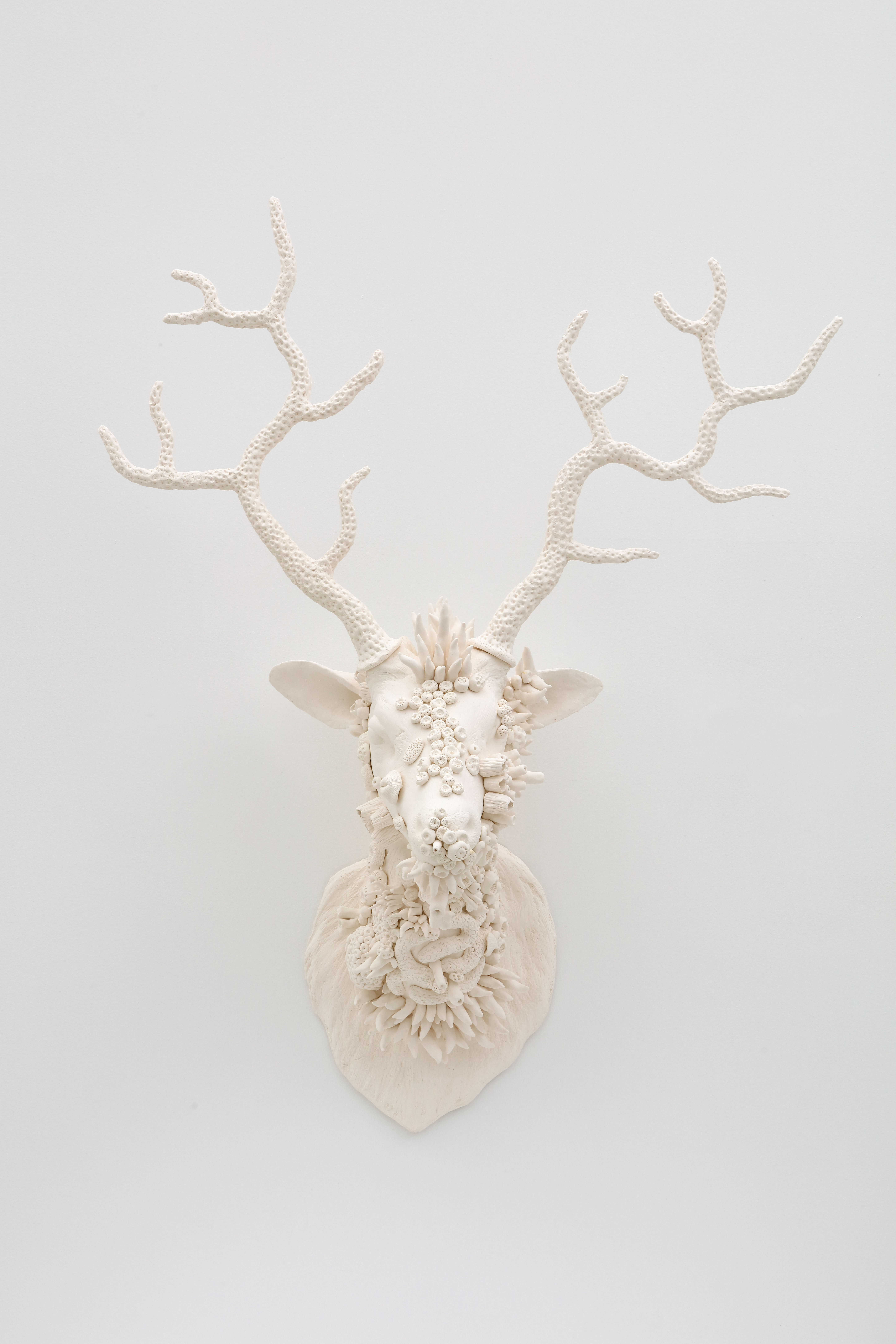 Dysbiotica – Deer 1 by Ken and Julia Yonetani, 2020