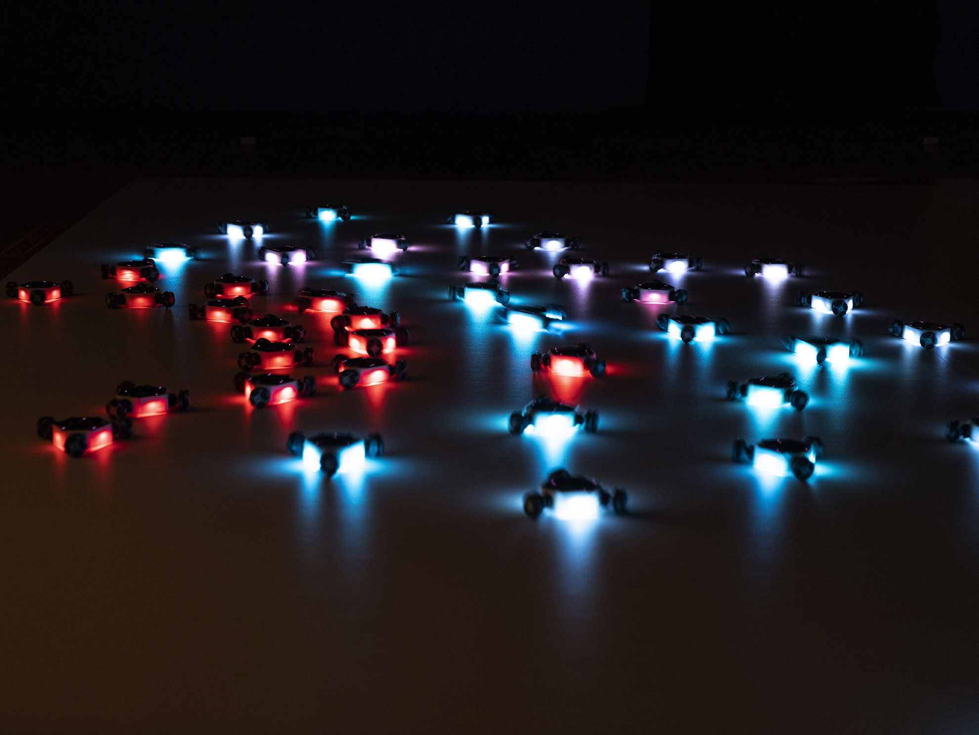 Installation view of 'Empathy swarm' (17 August - 27 October), QUT Art Museum, 2019. Image copyright Carl Warner.