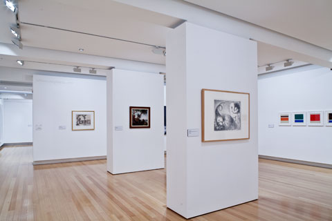 Installation view of 'Selected works: New acquisitions from the QUT Art Collection' | Photo: Richard Stringer