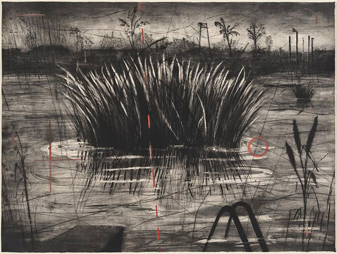 William KENTRIDGE 'Reeds' 1996 | intaglio | National Gallery of Australia, Canberra | The Poynton Bequest, 2013