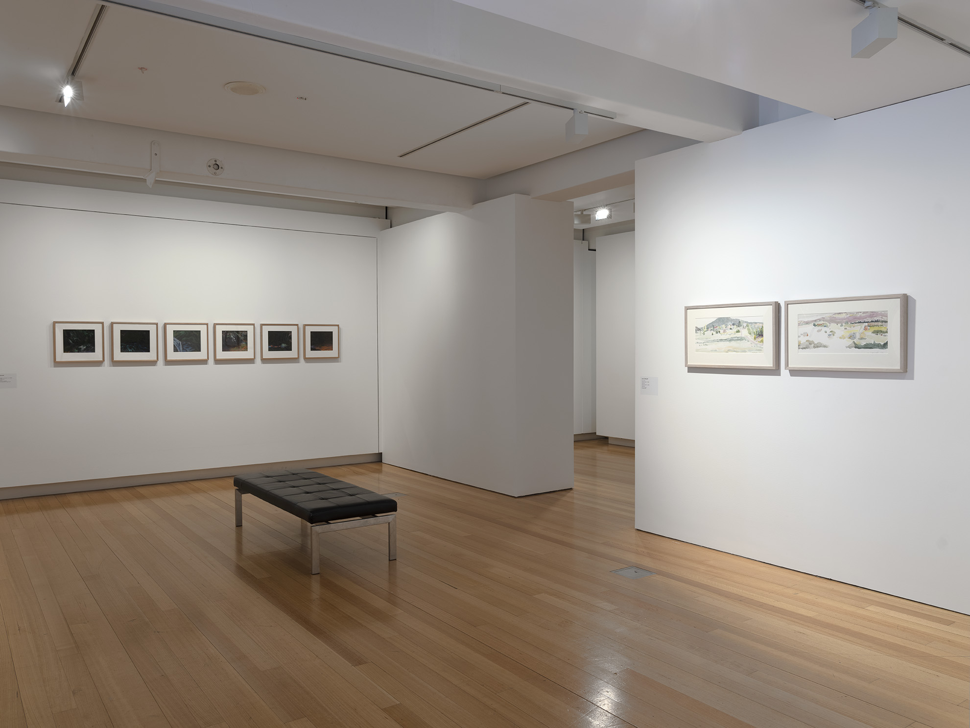 Installation view of 'Odd Bedfellows' (29 August - 8 November 2020), QUT Art Museum. Photo by Carl Warner.