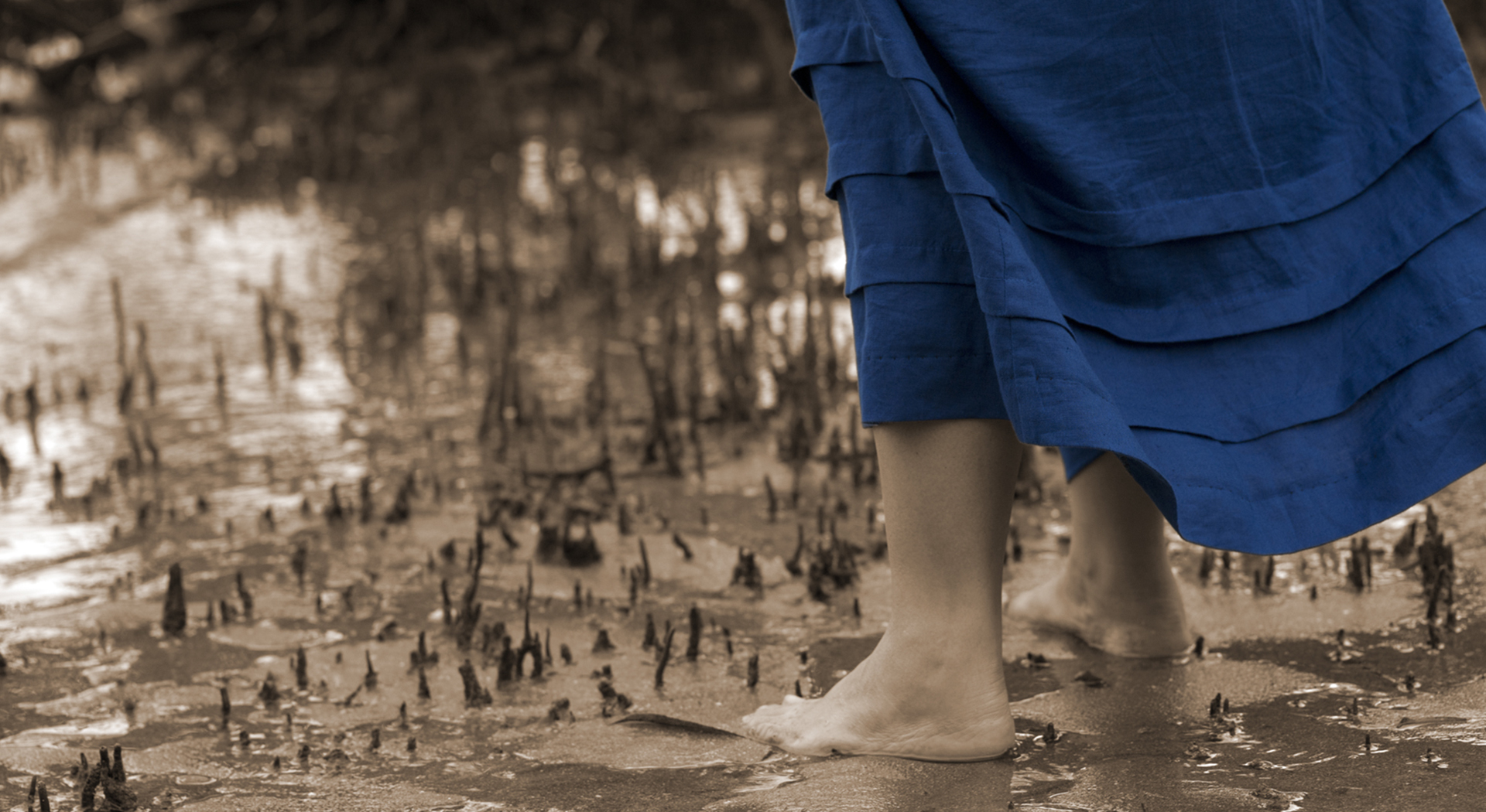 Photo of feet standing in muddy mangroves