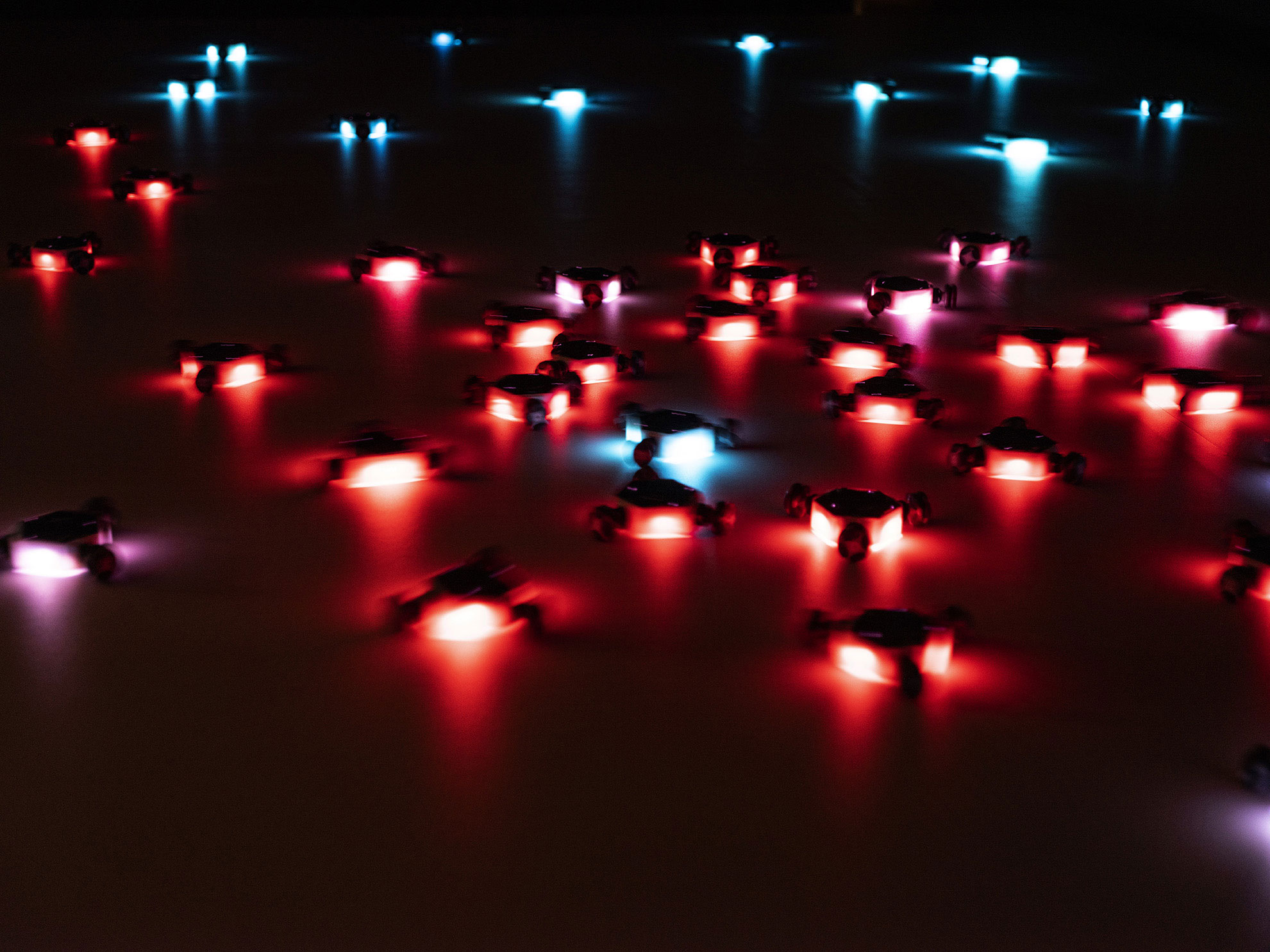 Installation view of 'Empathy swarm' (17 August - 27 October), QUT Art Museum, 2019. Image copyright Carl Warner.