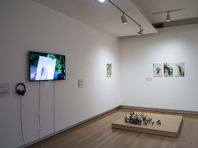 Installation view of 'Garden' | Photo: Carl Warner