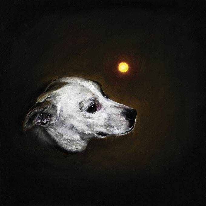 Image of white dog on a black background with yellow circle above the dog’s head