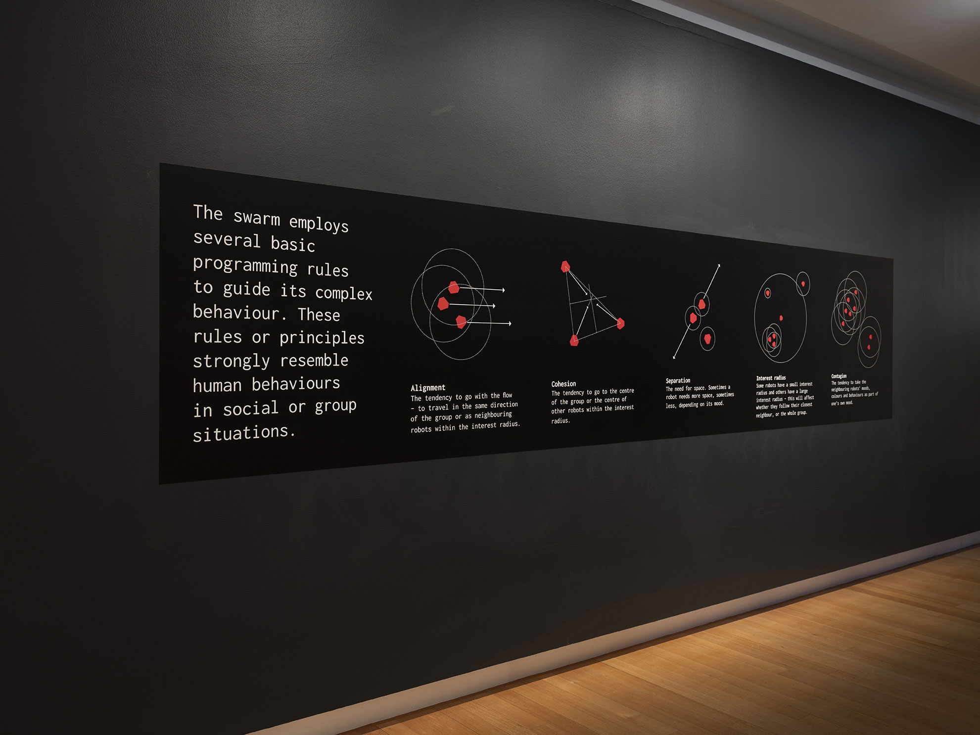 Installation view of 'Empathy swarm' (17 August - 27 October), QUT Art Museum, 2019. Image copyright Carl Warner.