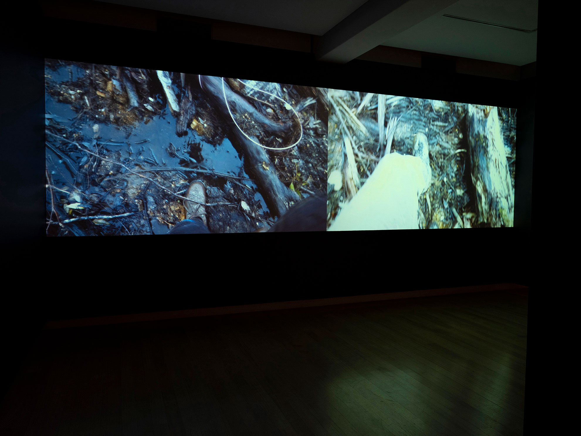 Installation view of 'Vis-ability: Artworks from the QUT Art Collection' (11 May - 4 August 2019), QUT Art Museum. Photo by Carl Warner.