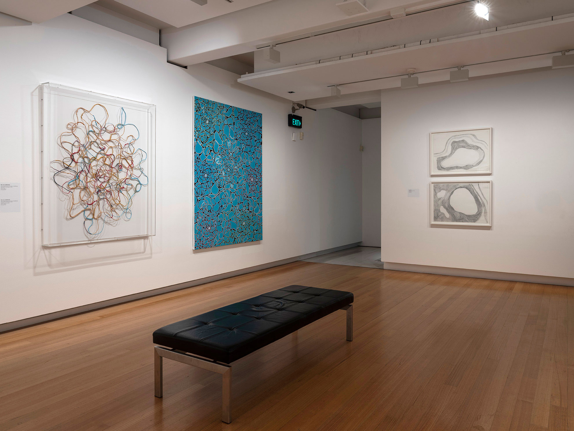 Installation view of 'Vis-ability: Artworks from the QUT Art Collection' (11 May - 4 August 2019), QUT Art Museum. Photo by Carl Warner.