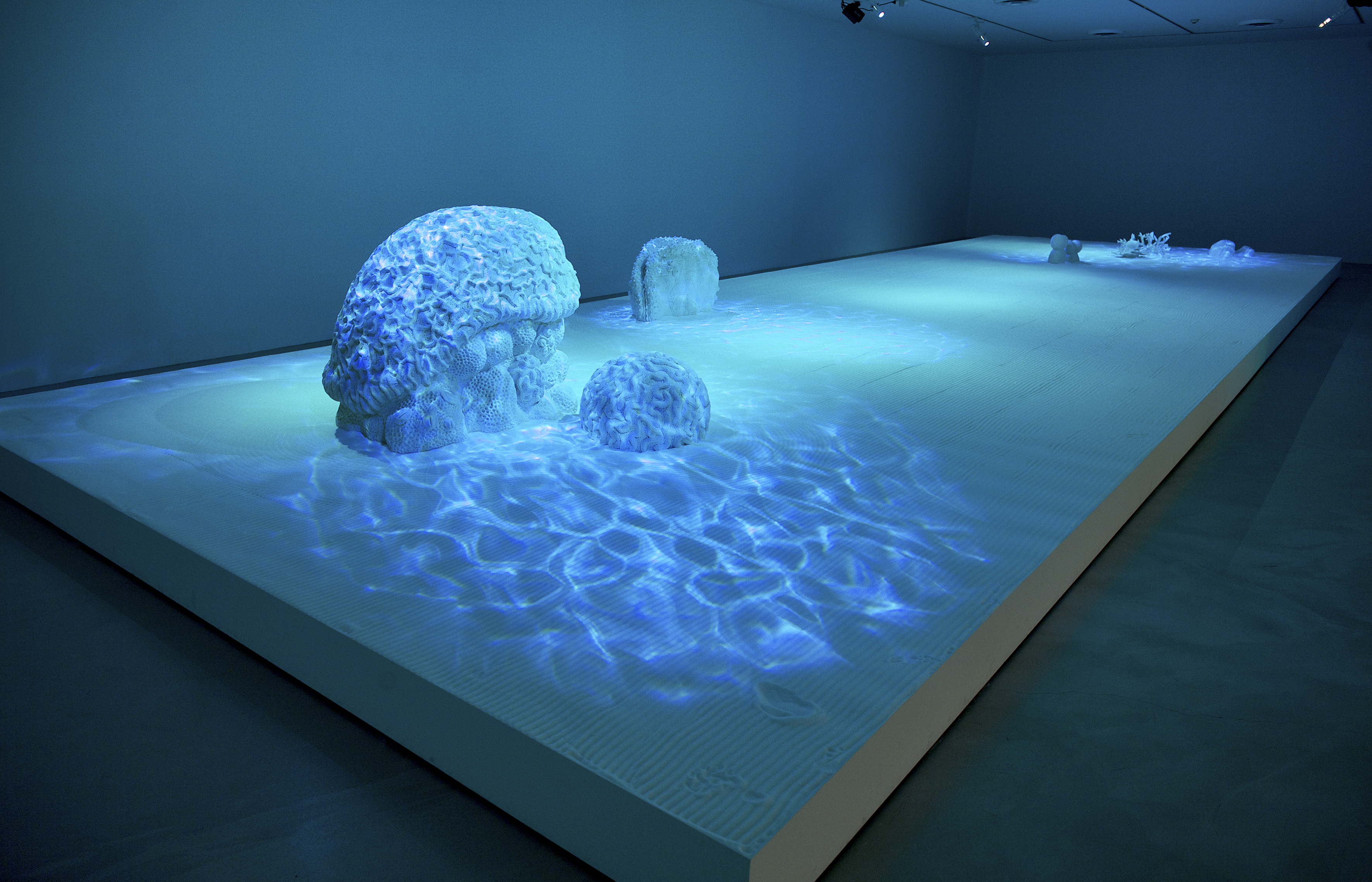 Ken + Julia YONETANI, Sweet Barrier Reef 2009, sugar, vegetable gum, polystyrene foam. Photo by Ian Hobbs. ©︎ Ken + Julia Yonetani. Courtesy of Mizuma Art Gallery.