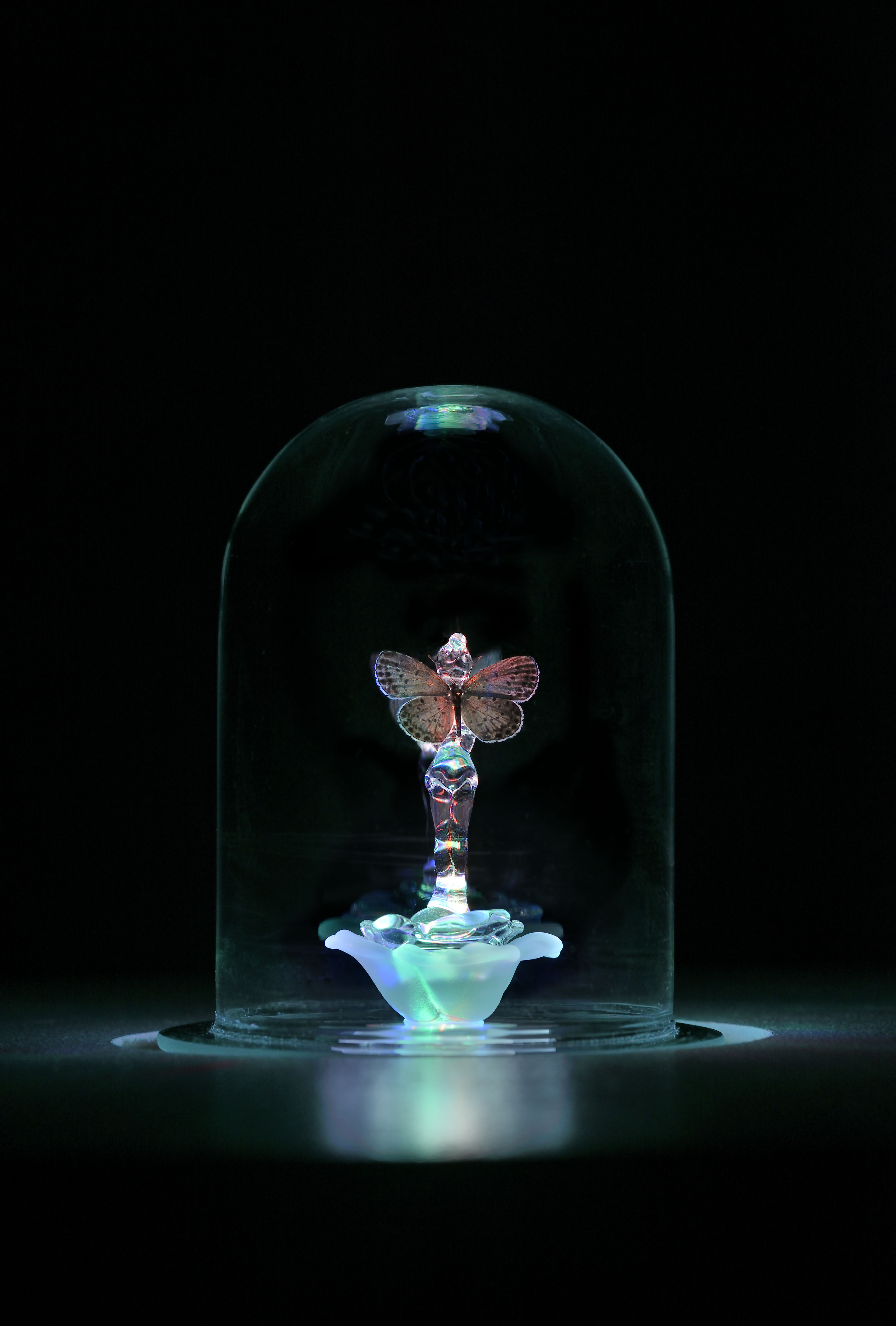 Ken + Julia YONETANI, Three Wishes 2014, glass figurine, butterfly specimen, glass dome, music box. Photo by Catherine Brossais. ©︎ Ken + Julia Yonetani. Courtesy of Mizuma Art Gallery.