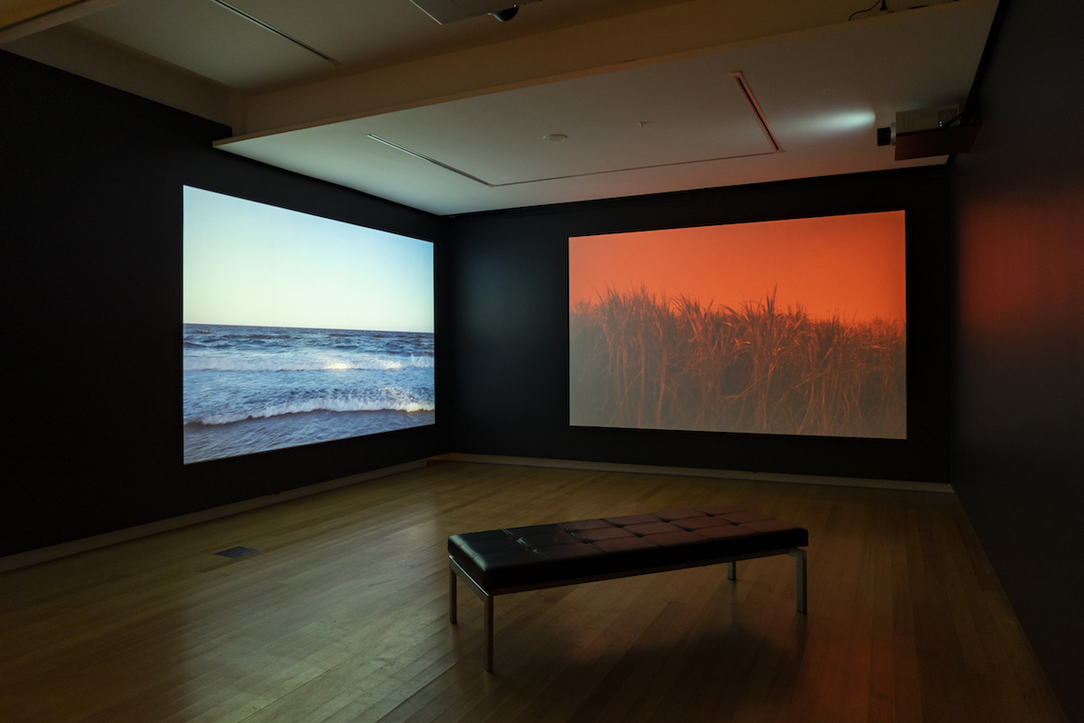 Installation view of 'On Earth' (27 March - 6 June 2021), QUT Art Museum. Photo by Louis Lim