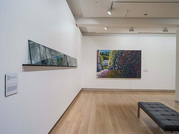 Installation view of 'Garden' | Photo: Carl Warner